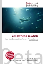 Yellowhead Jawfish