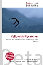 Yellowish Flycatcher