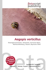 Aegopis verticillus