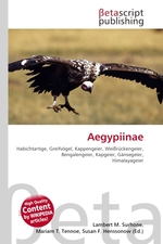 Aegypiinae