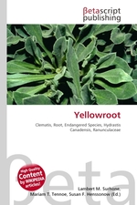 Yellowroot