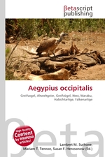 Aegypius occipitalis