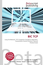 BIC TCP