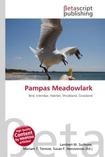 Pampas Meadowlark