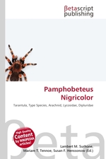 Pamphobeteus Nigricolor