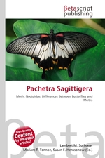 Pachetra Sagittigera