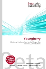 Youngberry