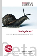 Pachychilus