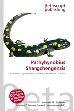 Pachyhynobius Shangchengensis