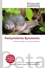 Pachymelania Byronensis