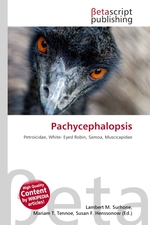 Pachycephalopsis