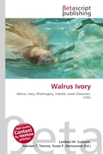Walrus Ivory