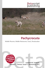 Pachycrocuta