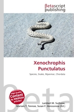 Xenochrophis Punctulatus