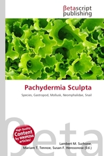 Pachydermia Sculpta