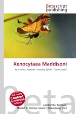 Xenocytaea Maddisoni