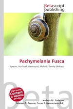 Pachymelania Fusca
