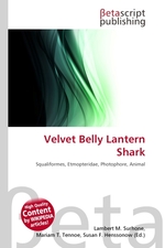 Velvet Belly Lantern Shark