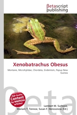 Xenobatrachus Obesus