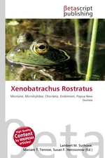 Xenobatrachus Rostratus