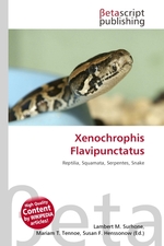 Xenochrophis Flavipunctatus