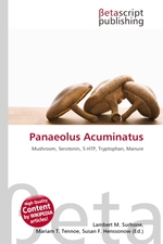 Panaeolus Acuminatus