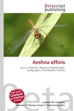 Aeshna affinis