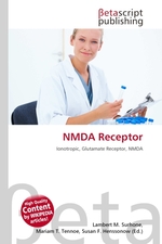 NMDA Receptor