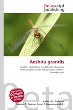 Aeshna grandis