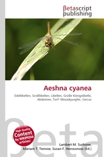 Aeshna cyanea