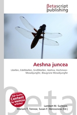 Aeshna juncea