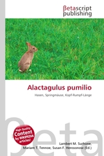 Alactagulus pumilio