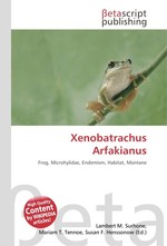 Xenobatrachus Arfakianus