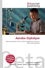 Aerobe Glykolyse