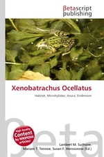 Xenobatrachus Ocellatus