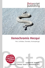 Xenochromis Hecqui