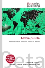 Aethia pusilla