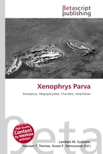 Xenophrys Parva