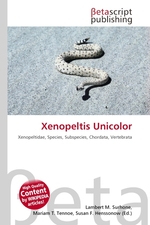 Xenopeltis Unicolor