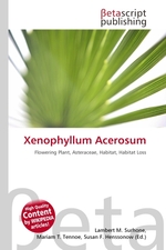 Xenophyllum Acerosum