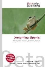 Xenorhina Eiponis