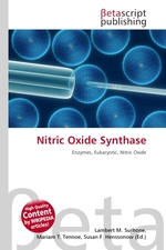 Nitric Oxide Synthase