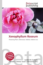 Xenophyllum Roseum