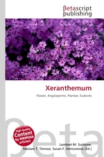 Xeranthemum