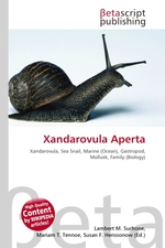 Xandarovula Aperta