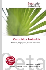 Xerochloa Imberbis