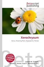 Xerochrysum