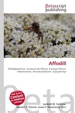 Affodill