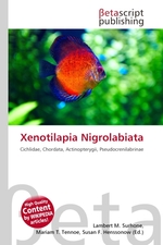 Xenotilapia Nigrolabiata