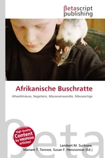 Afrikanische Buschratte